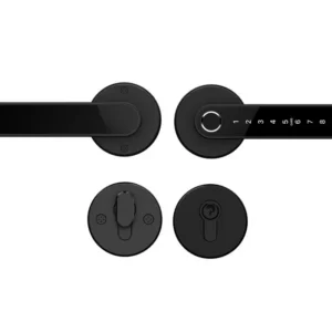 smart door lock handle